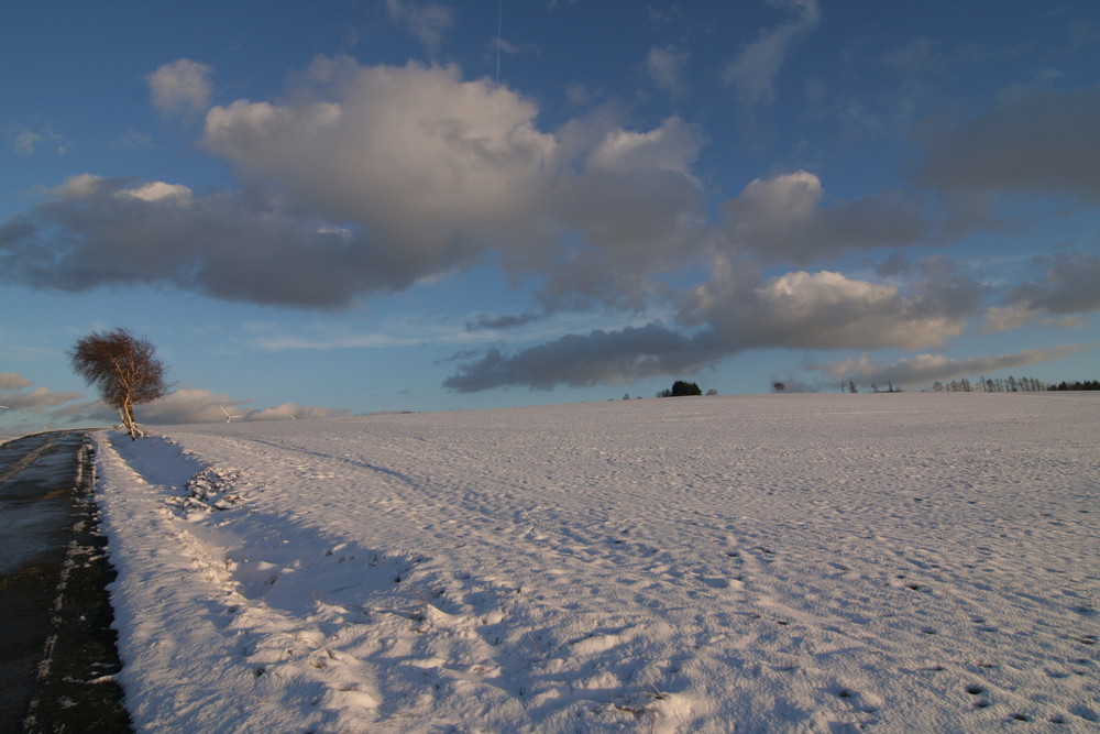 Winterstimmung