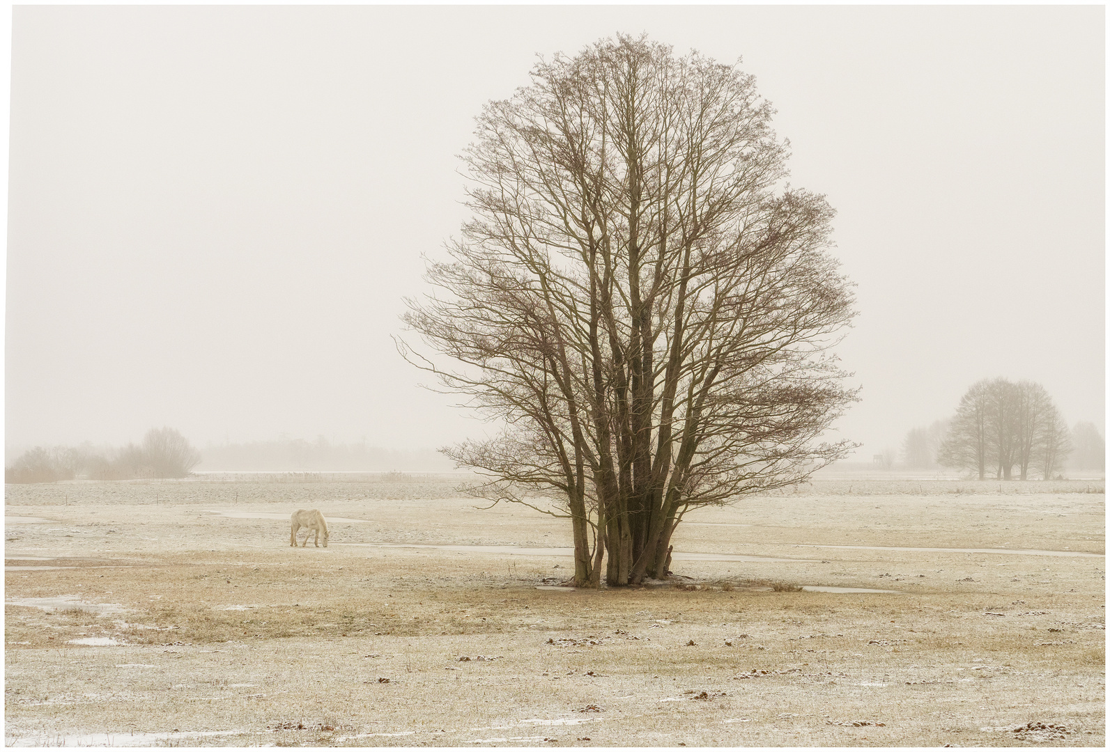 Winterstimmung