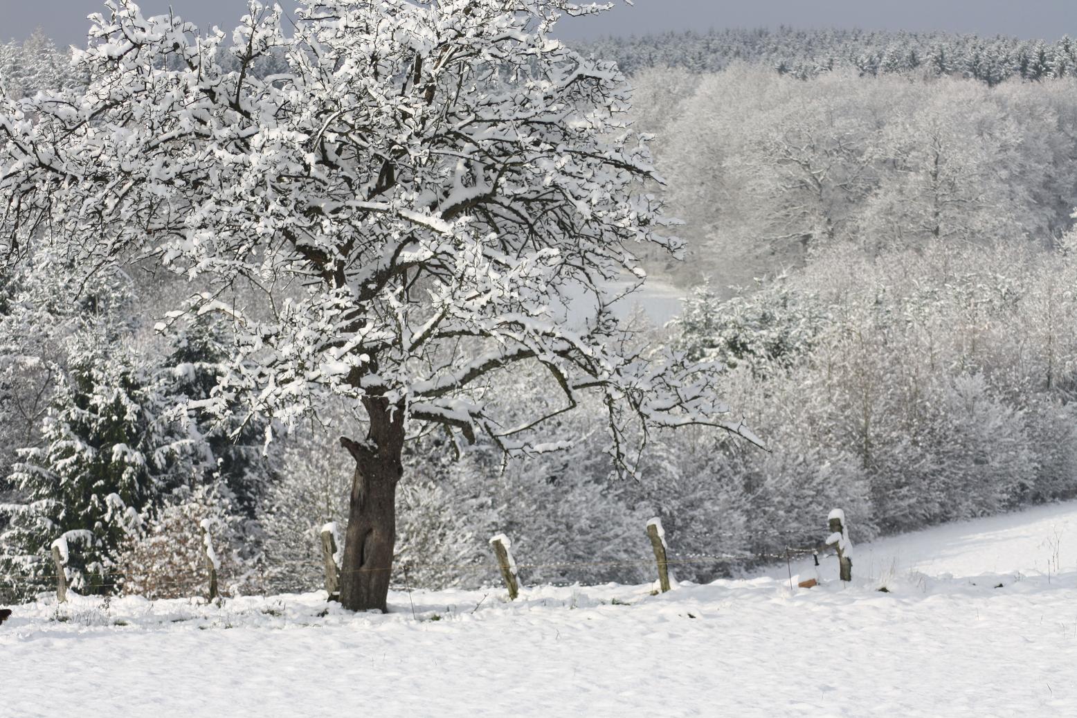 Winterstimmung