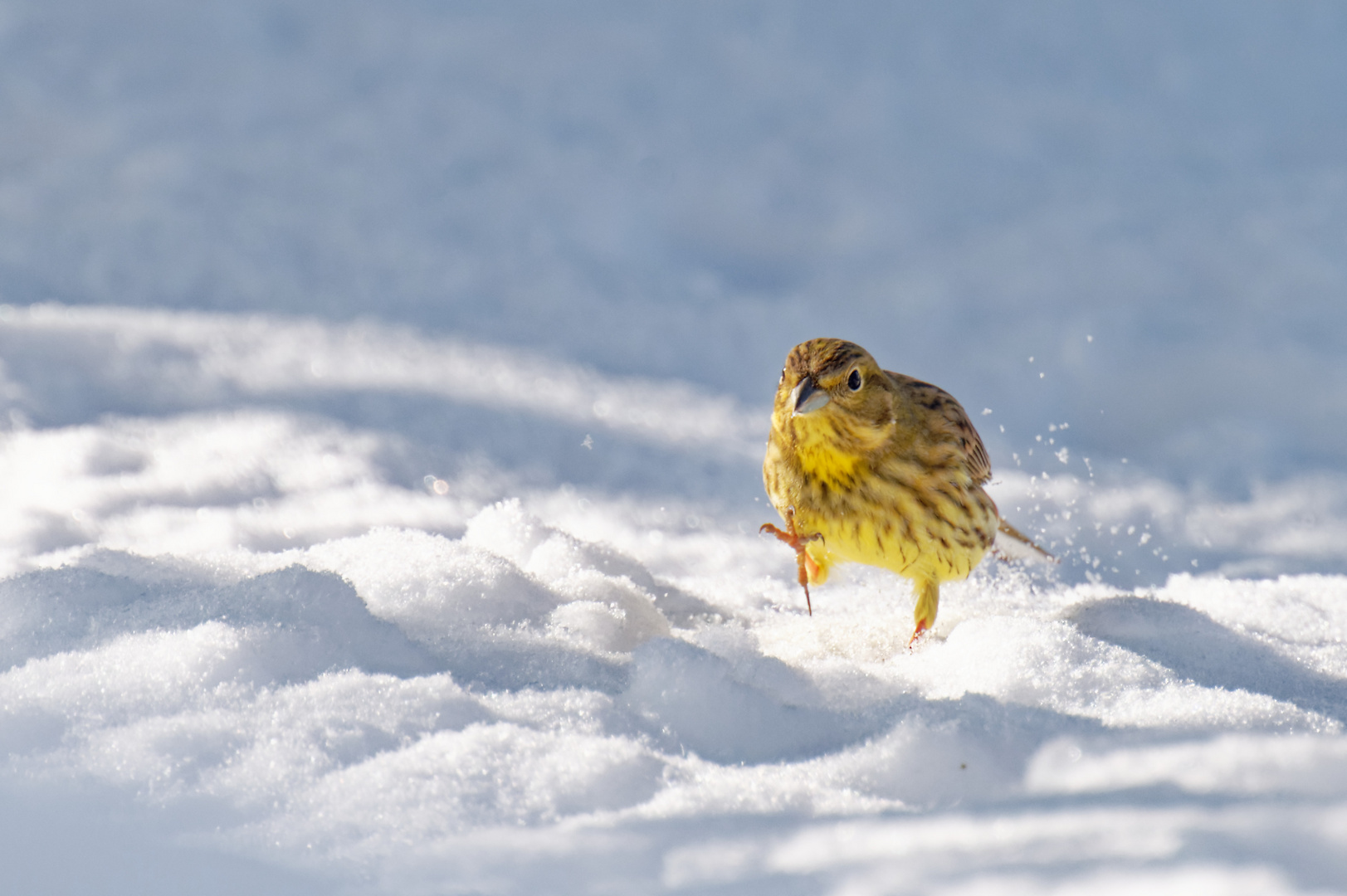 Winterstimmung