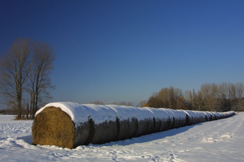 Winterstimmung