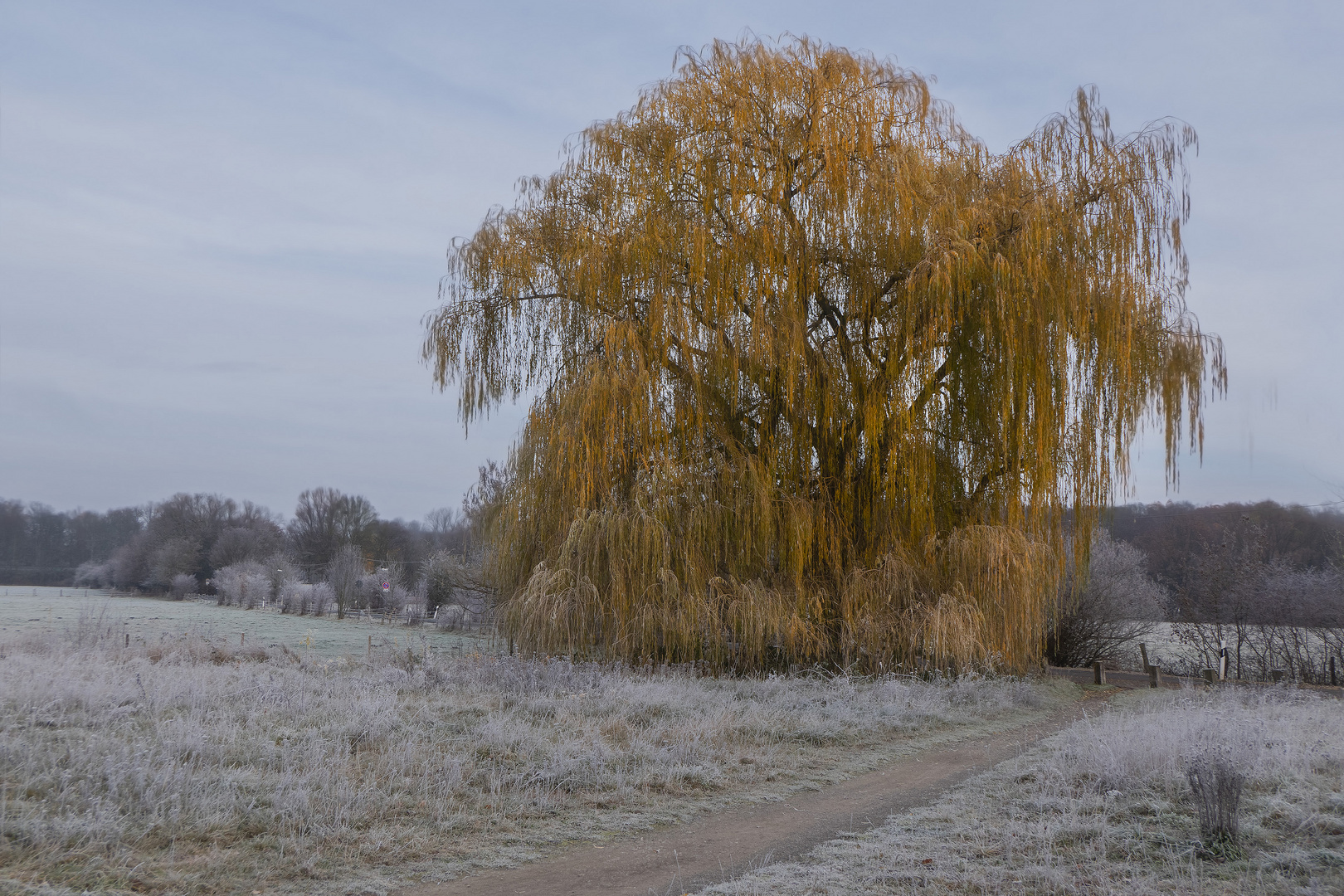 Winterstimmung