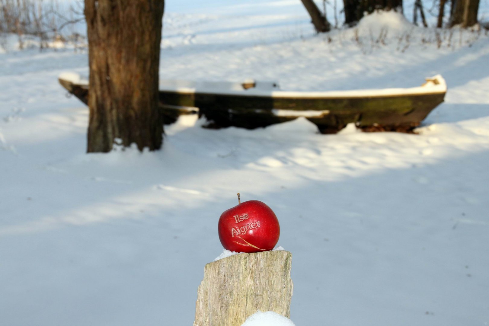 Winterstimmung am Amtssee