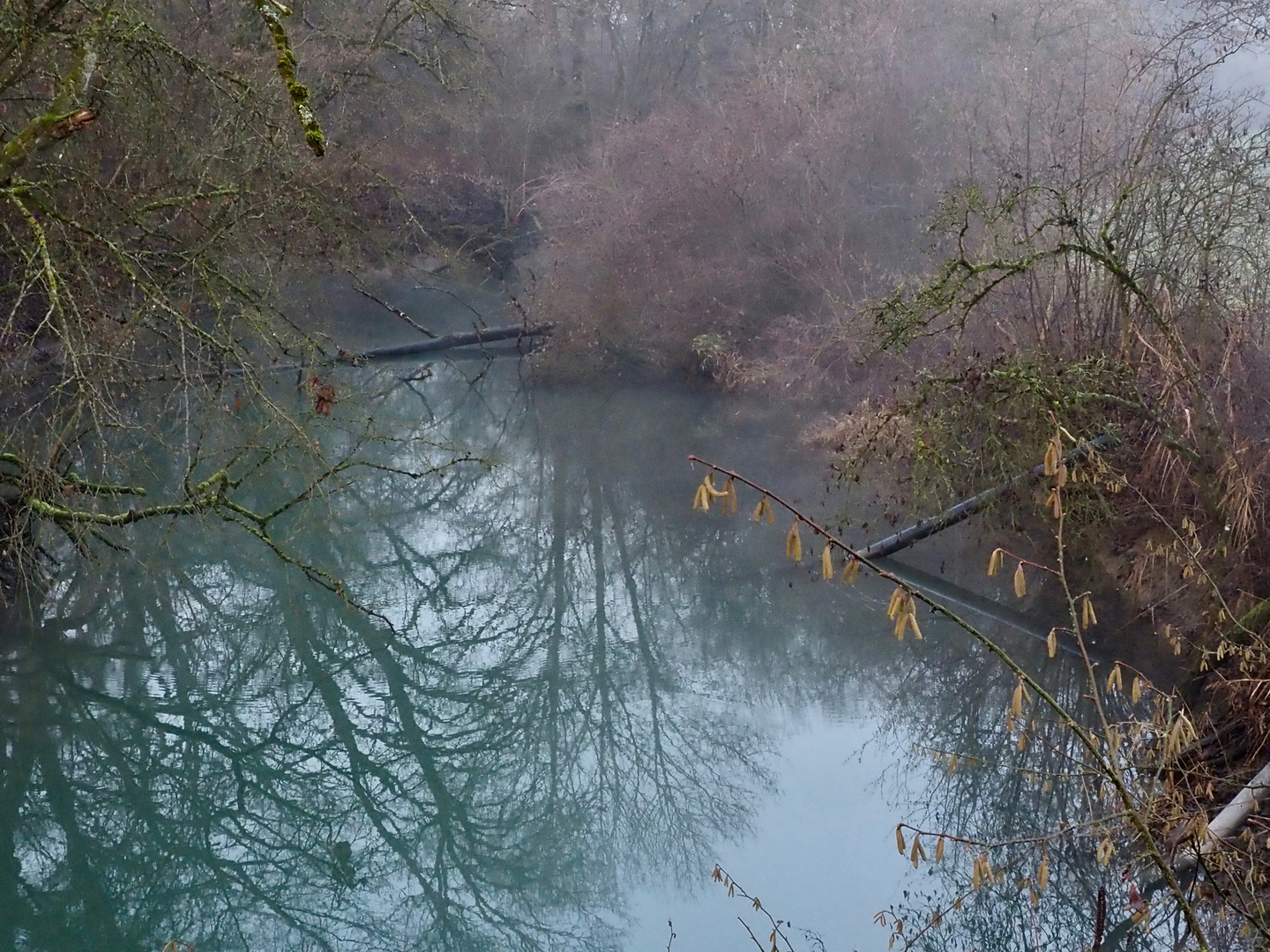 Winterstimmung am Bach