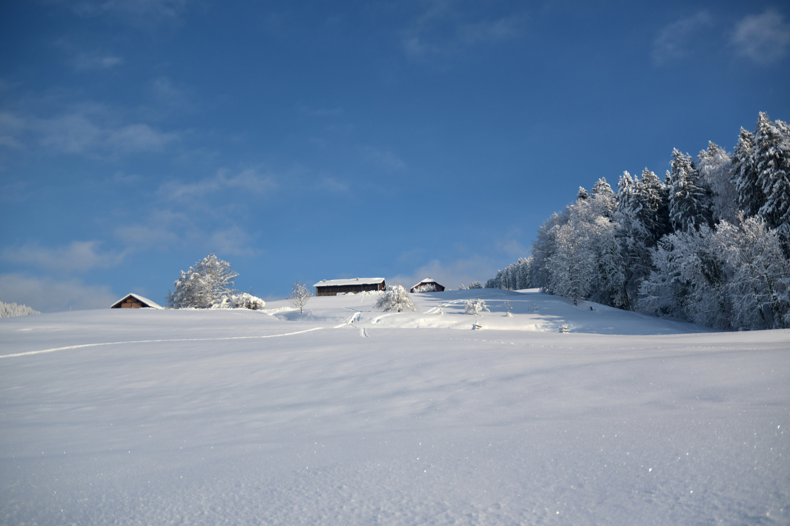 Winterstimmung am Bachtel