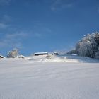 Winterstimmung am Bachtel