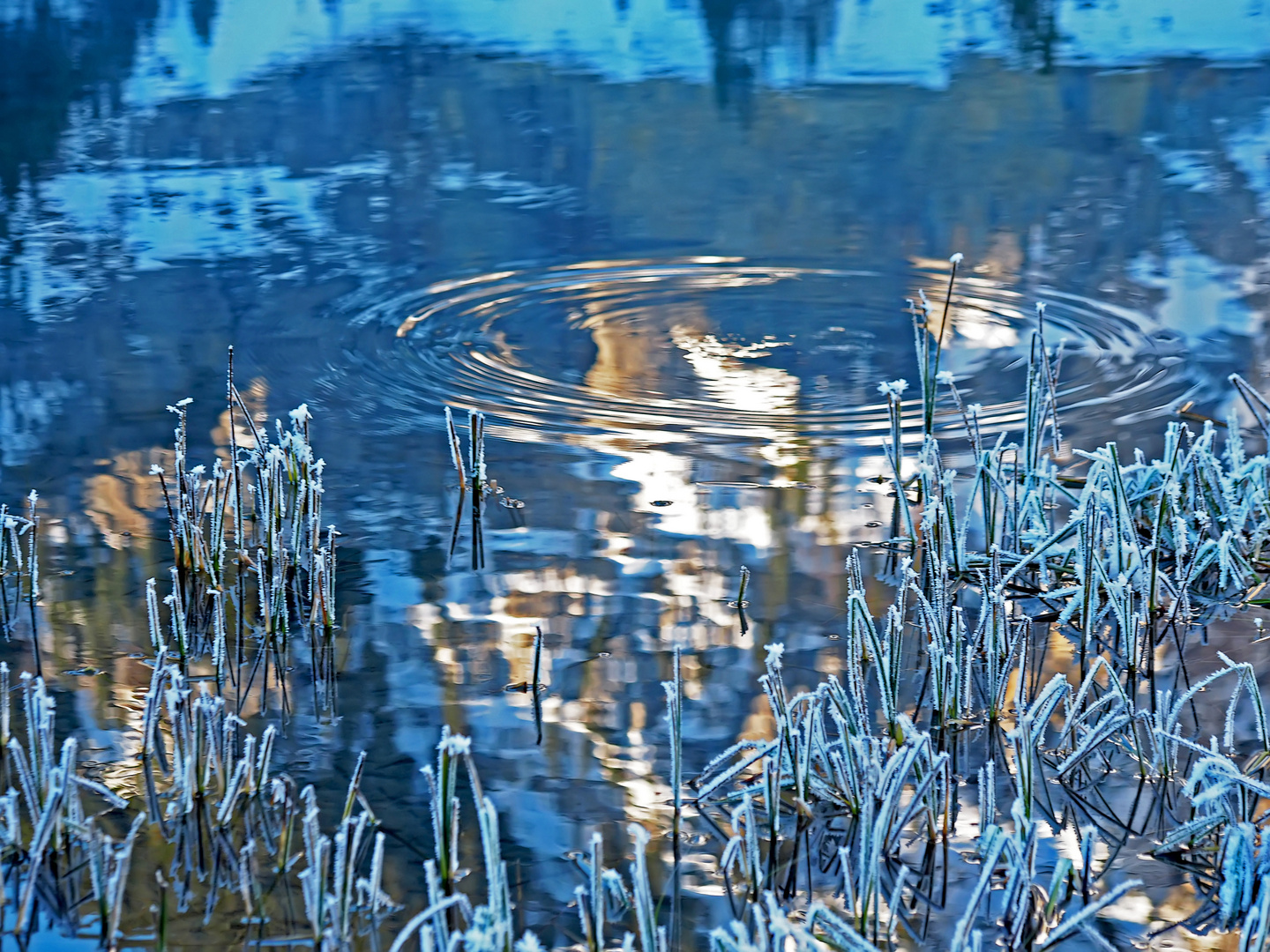 Winterstimmung am blauen See ...