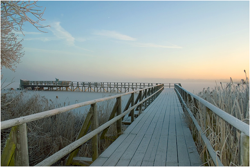 Winterstimmung am Federsee