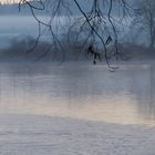 Winterstimmung am Fluss