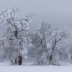 Winterstimmung am Greifensee