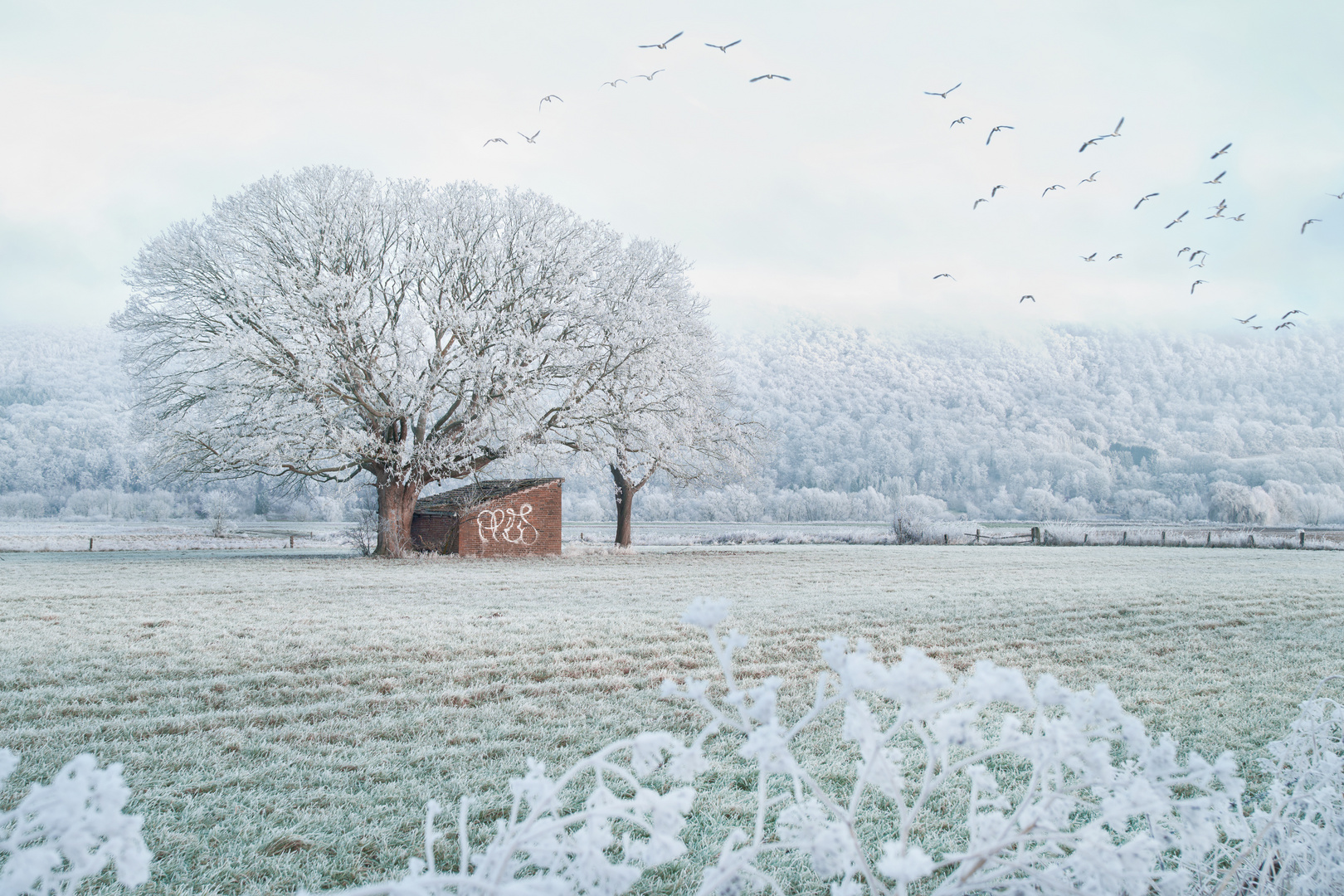 Winterstimmung am großen Weserbogen