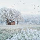 Winterstimmung am großen Weserbogen