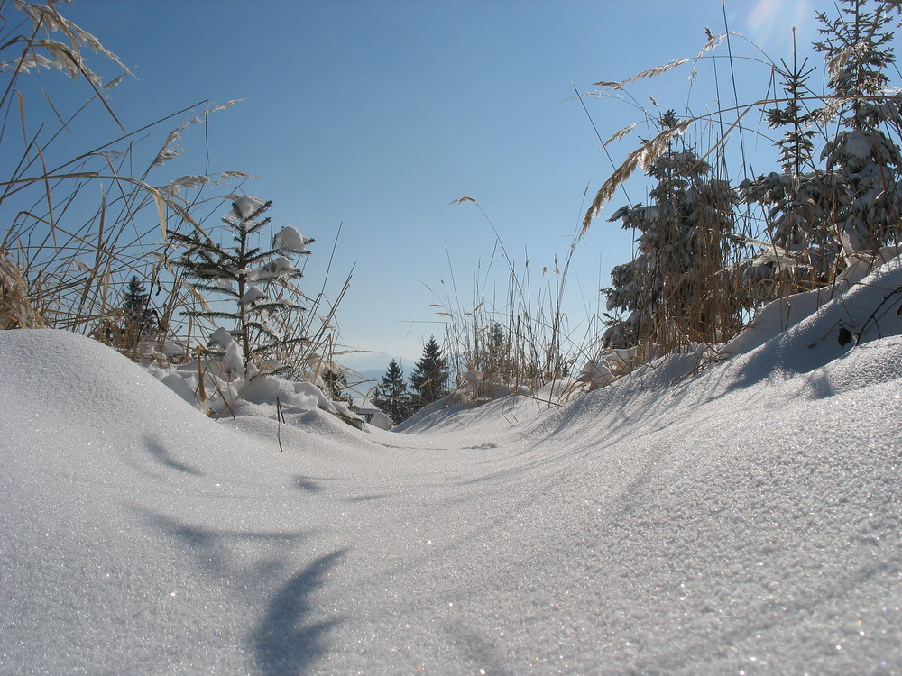 Winterstimmung am Haunsberg