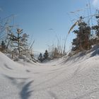 Winterstimmung am Haunsberg
