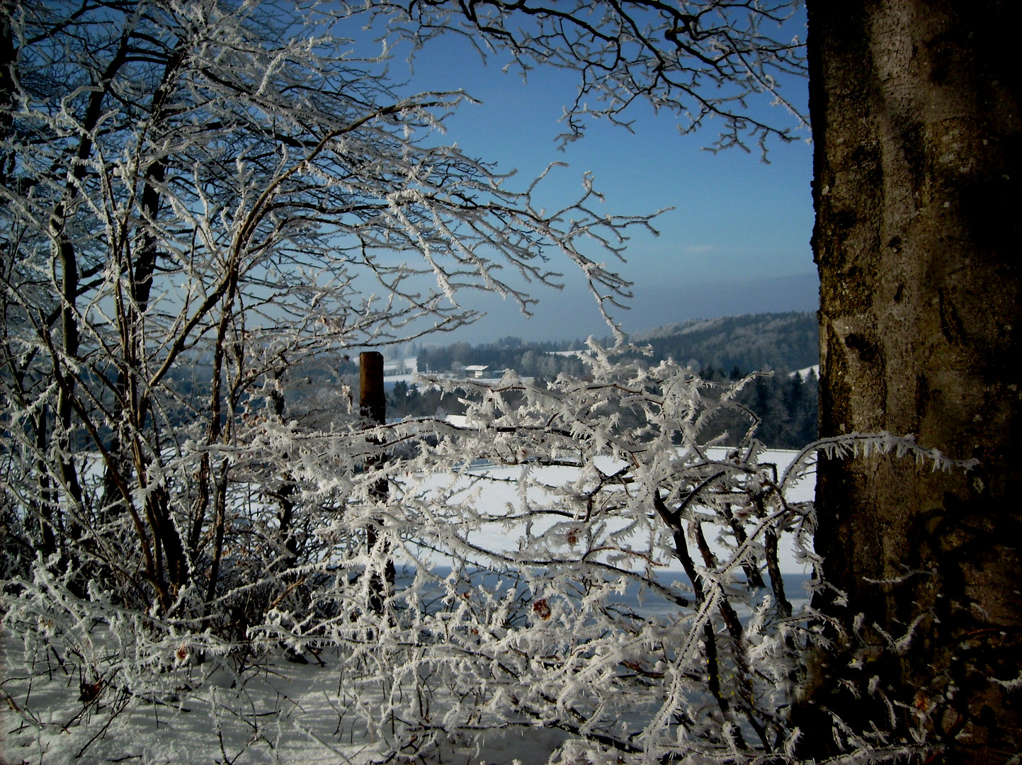 Winterstimmung am Hocheck