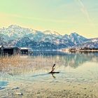 Winterstimmung am Kochelsee