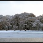 Winterstimmung am Maschsee