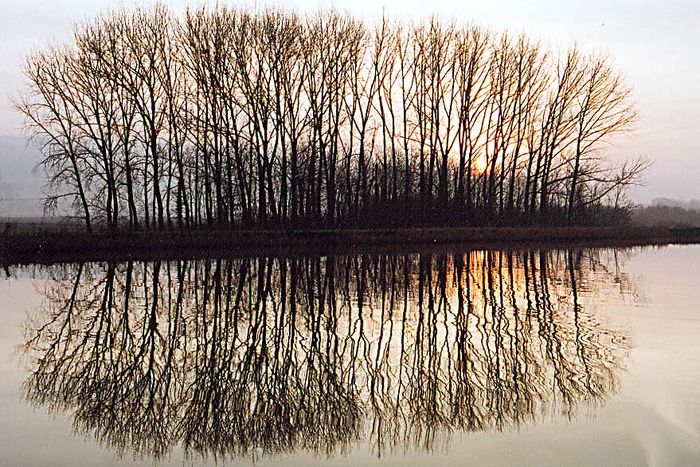 Winterstimmung am Moselkanal