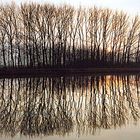 Winterstimmung am Moselkanal