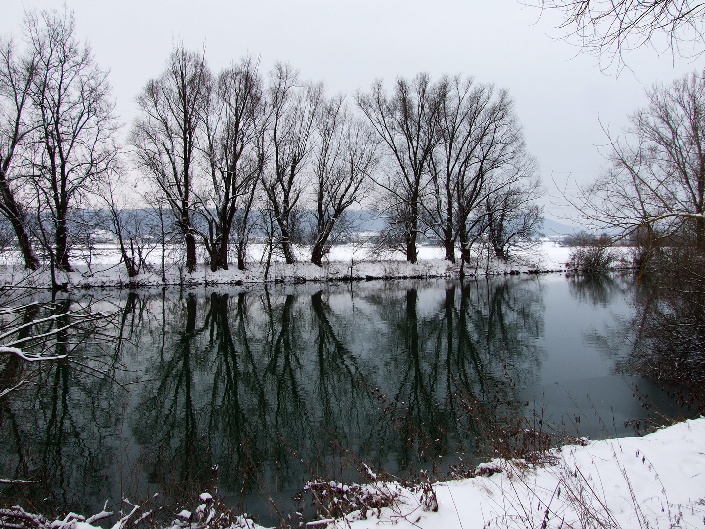Winterstimmung am Neckar