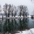 Winterstimmung am Neckar