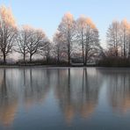 Winterstimmung am Neujahrsabend am Weiher