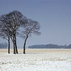 Winterstimmung am Niederrhein