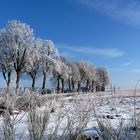 Winterstimmung am Rande Bischofswerdas