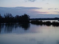 Winterstimmung am Rhein