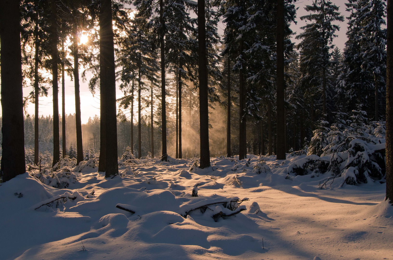 Winterstimmung am Rothaarsteig bei Kühhude