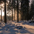 Winterstimmung am Rothaarsteig bei Kühhude