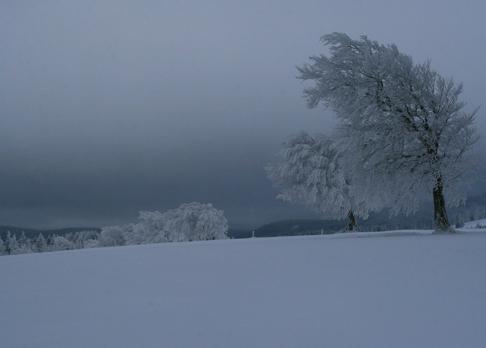 Winterstimmung am Schauinsland