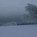 Winterstimmung am Schauinsland