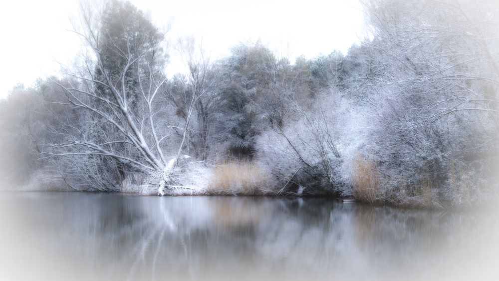 Winterstimmung am See