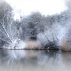 Winterstimmung am See