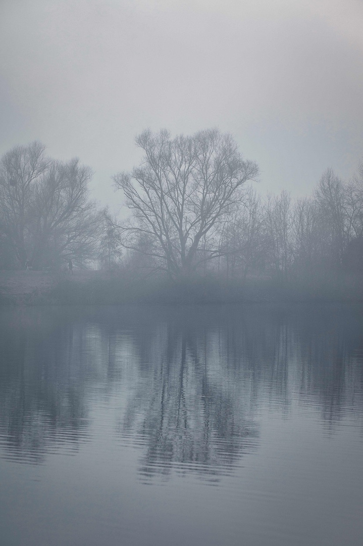 Winterstimmung am See