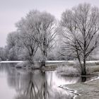 Winterstimmung am See