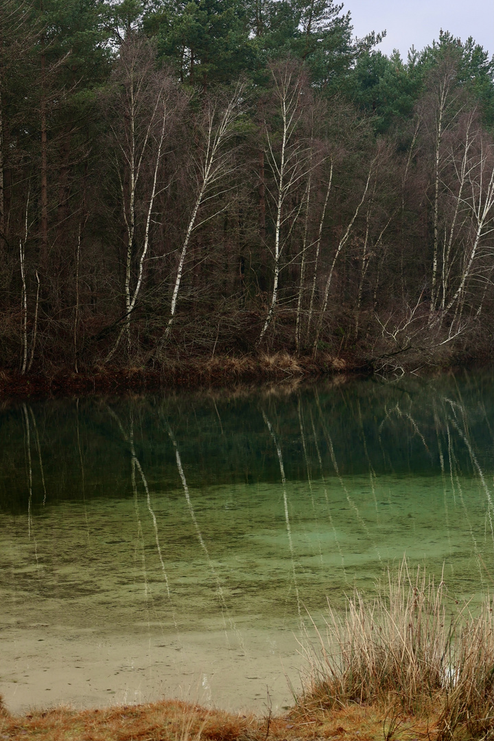 Winterstimmung am See