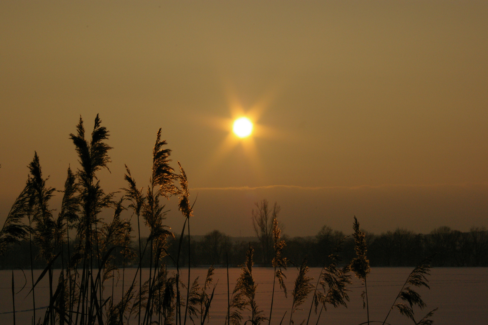 Winterstimmung am Stausee Glauchau II