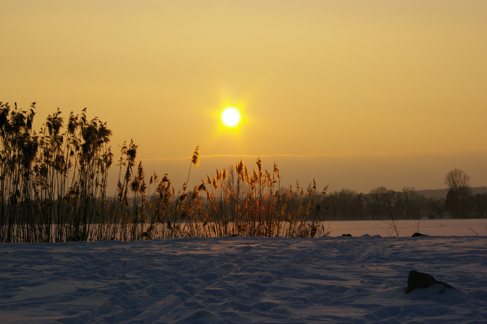 Winterstimmung am Stausee Glauchau III