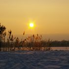 Winterstimmung am Stausee Glauchau III