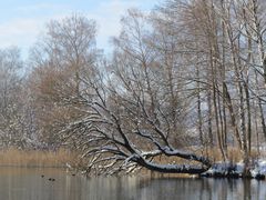 Winterstimmung am Tachinger See