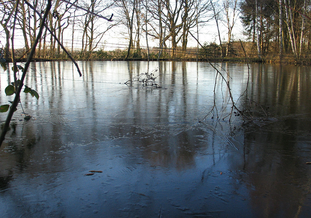 Winterstimmung am Teich