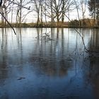 Winterstimmung am Teich