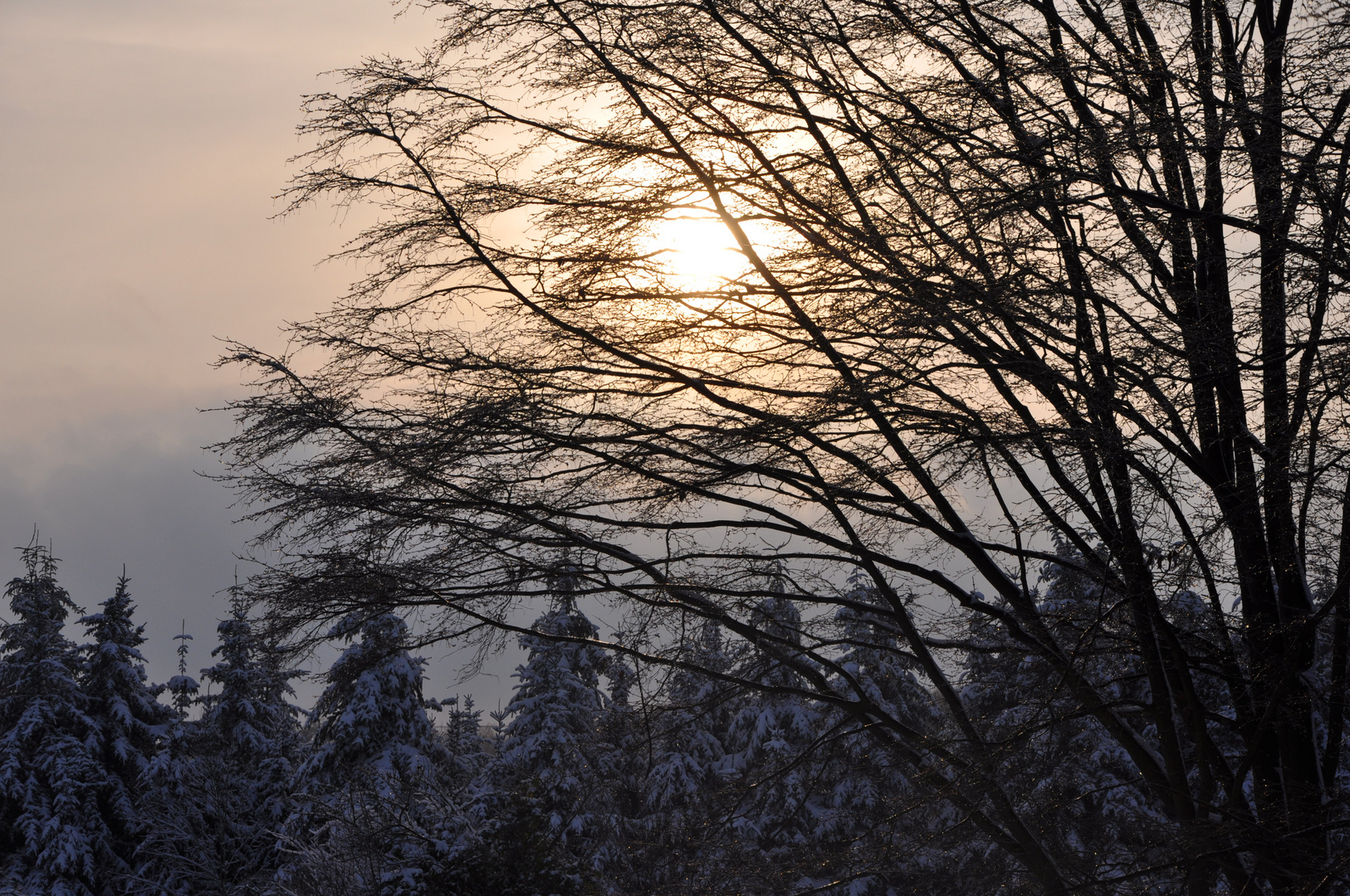 Winterstimmung am Waldrand