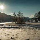 Winterstimmung am Weniger Weiher