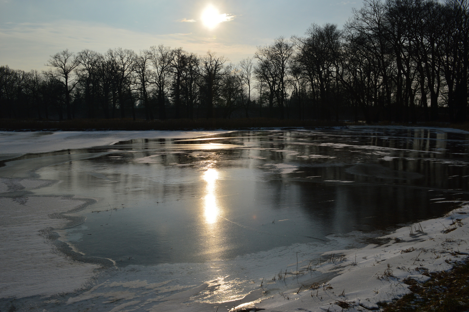 Winterstimmung am wörlitzer park