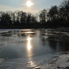 Winterstimmung am wörlitzer park