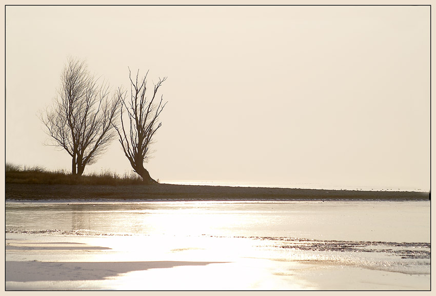 Winterstimmung am zugefrorenen Untersee