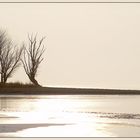 Winterstimmung am zugefrorenen Untersee